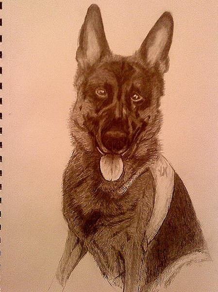 dog