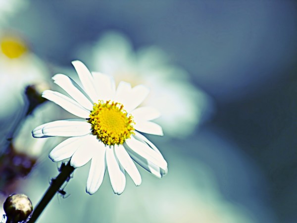 Peace & Tranquility