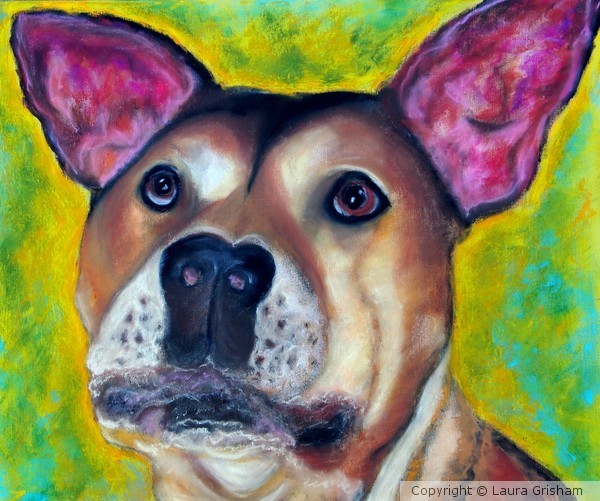 Woof Woof
