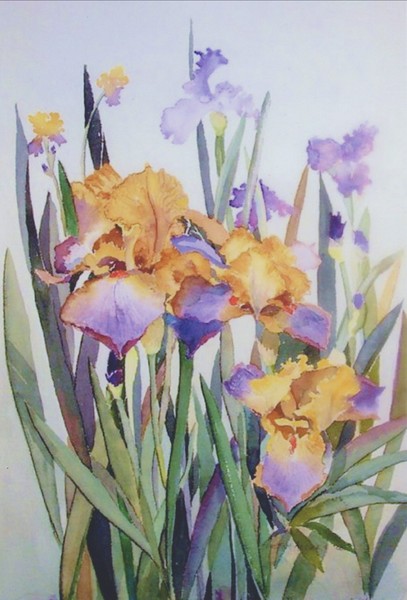 Purple Irises
