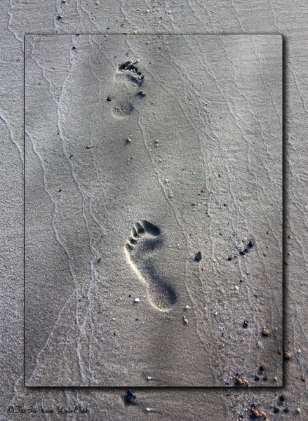 Sandprints