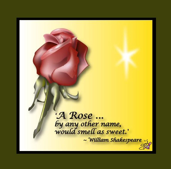 A Rose is a Rose