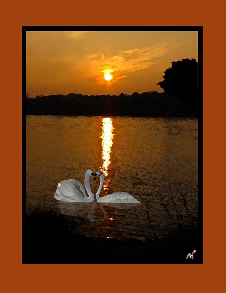 Love in the Sunset