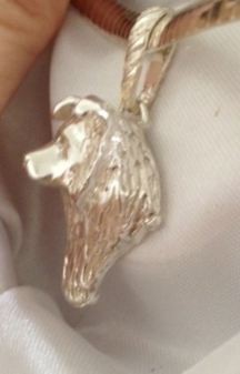bordercollieshownonnecklace