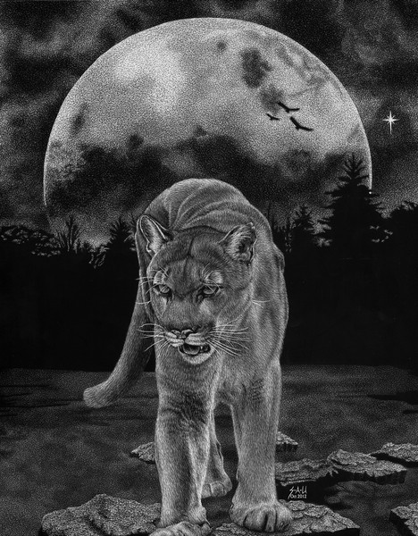 Midnight Patrol