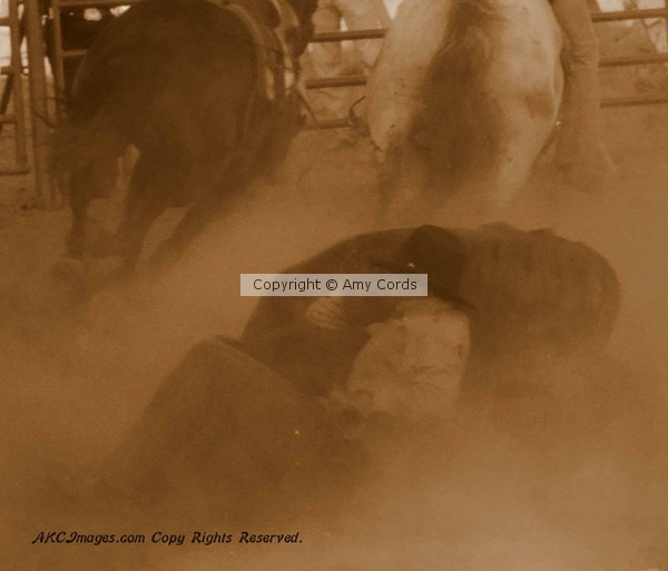 Rodeo Bull Dogger