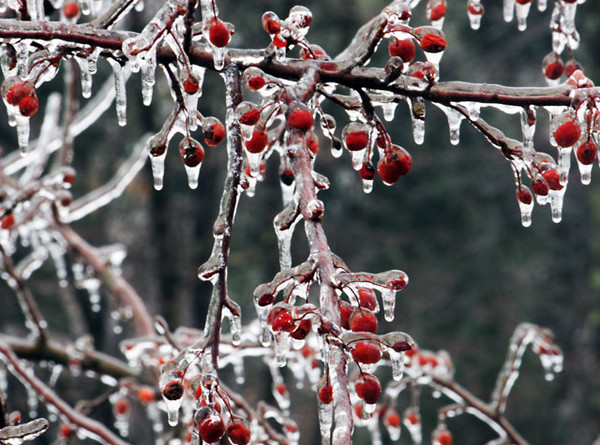 Ice