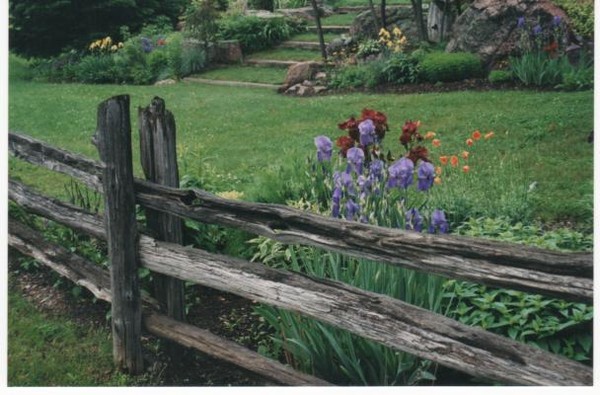 By a Crooked Fence