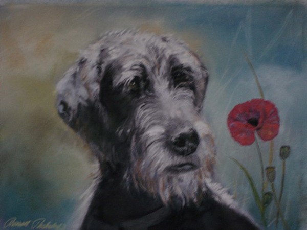 Poppy 