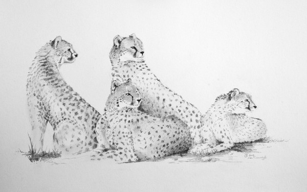 Cheetah Group