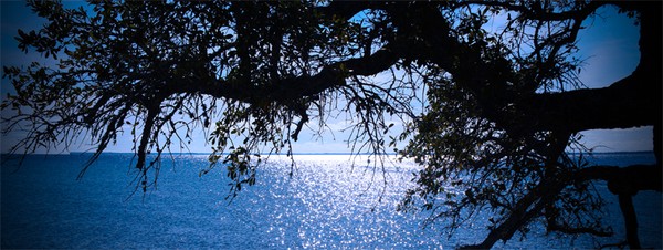 Pretty view of the bay
