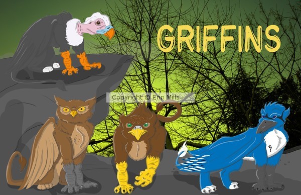 Griffins Final