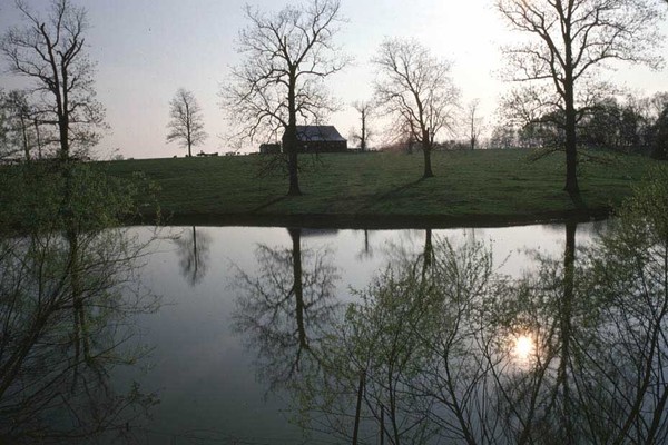 Reflections of Home
