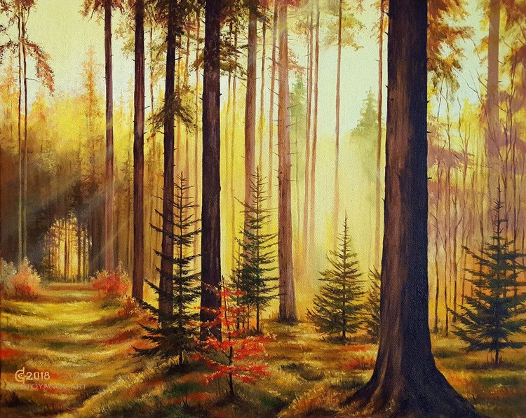 Lights and Shadows-40x50cm