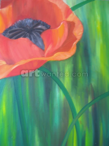 Poppy Flower