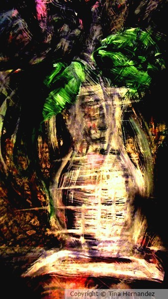 The Vase