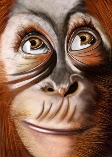 little monkey