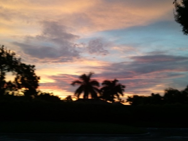Trapped in Paradise