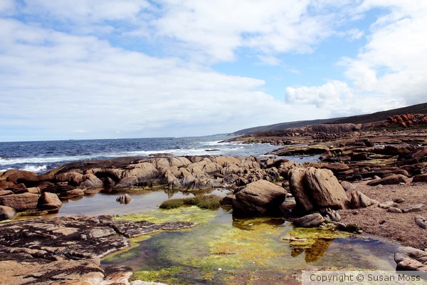 Rocky Ocean Landscape