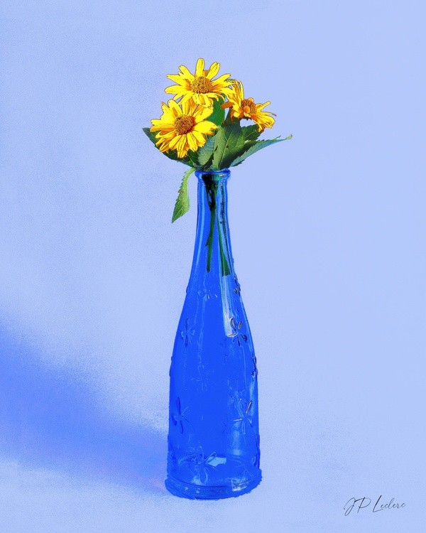 Floral # 45