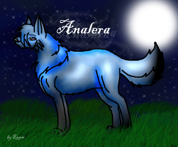 Lera in the Stars