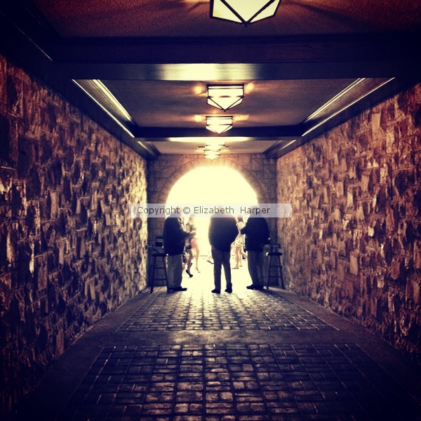 To the Paddock