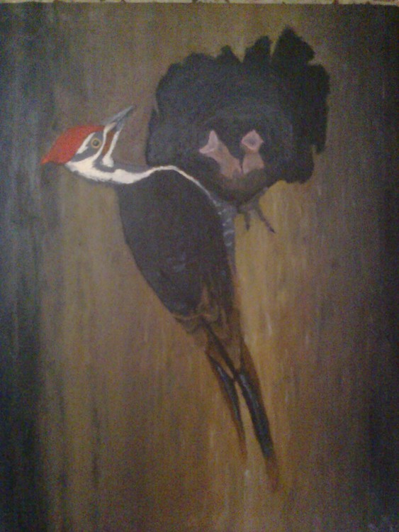 Woodpecker