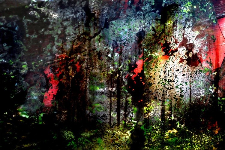 Beauty in Decay