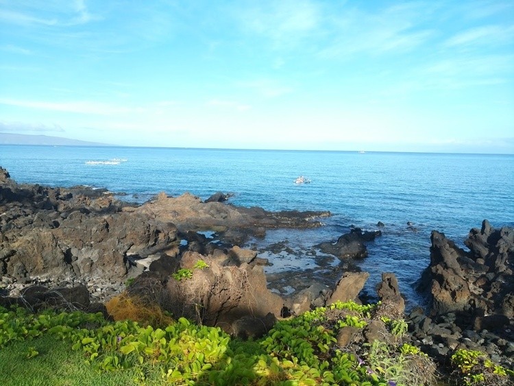 WP 20190623 07 48 58 Pro