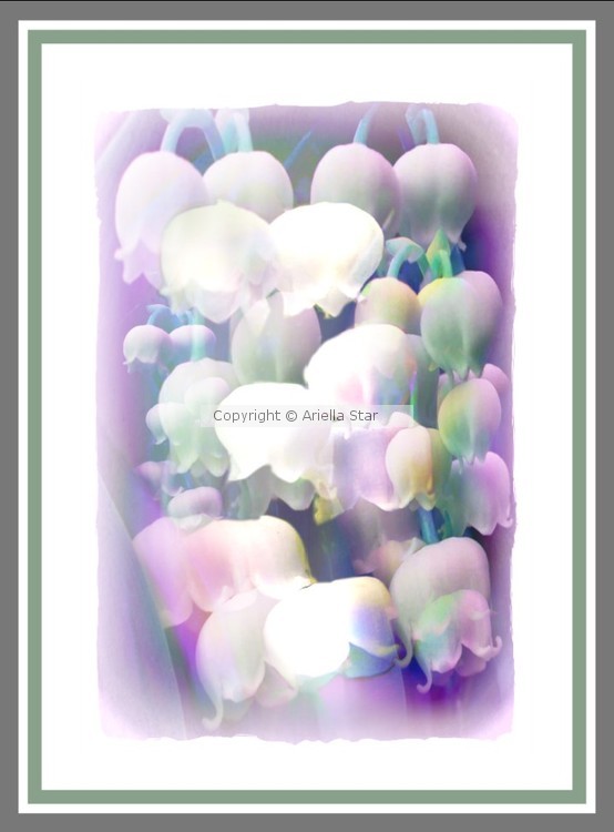Spring flowers