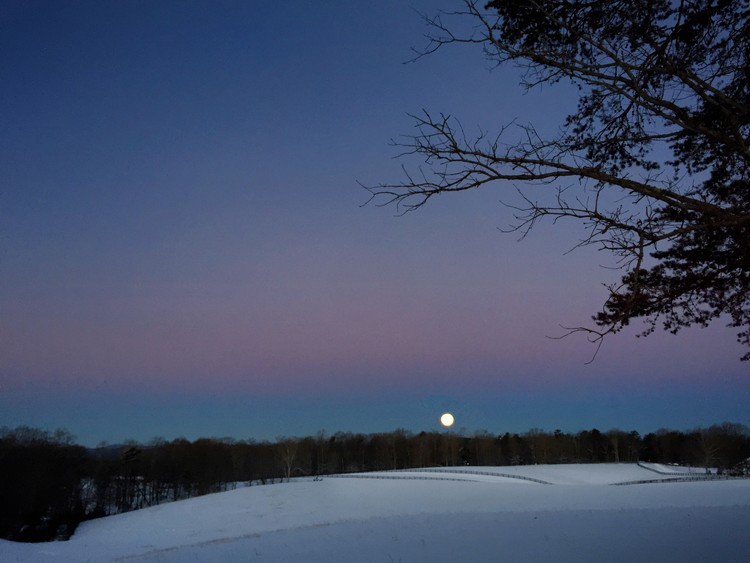 Virginia Moon 