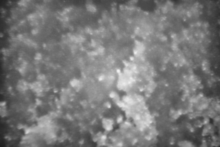 Macro  Space #16