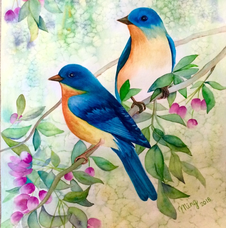 Blue Flycatchers 
