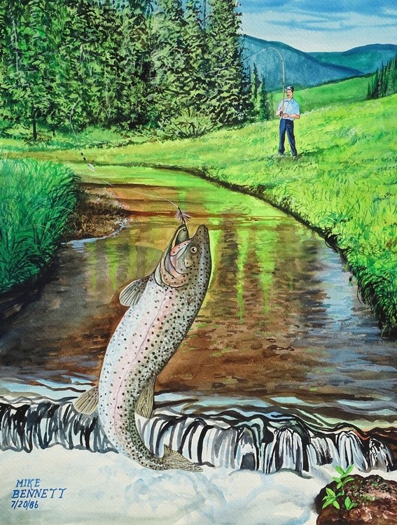 Rainbow Trout