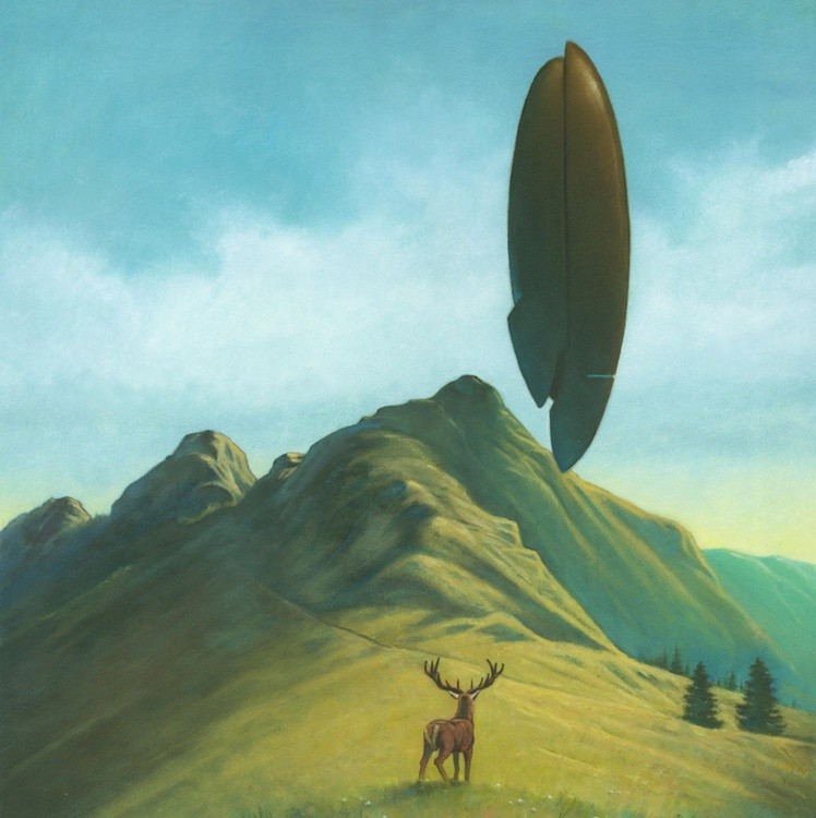 What The Deer Saw