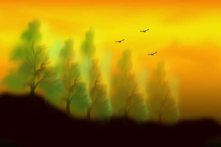 Trees under orange sky