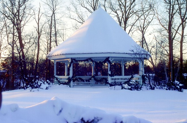 winter