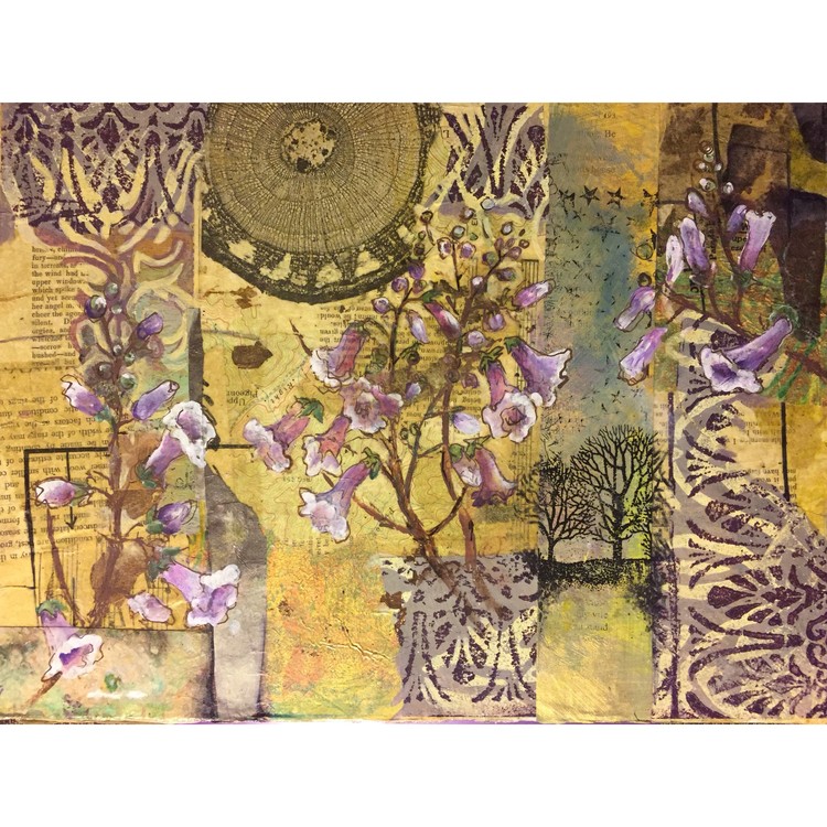Paulownia