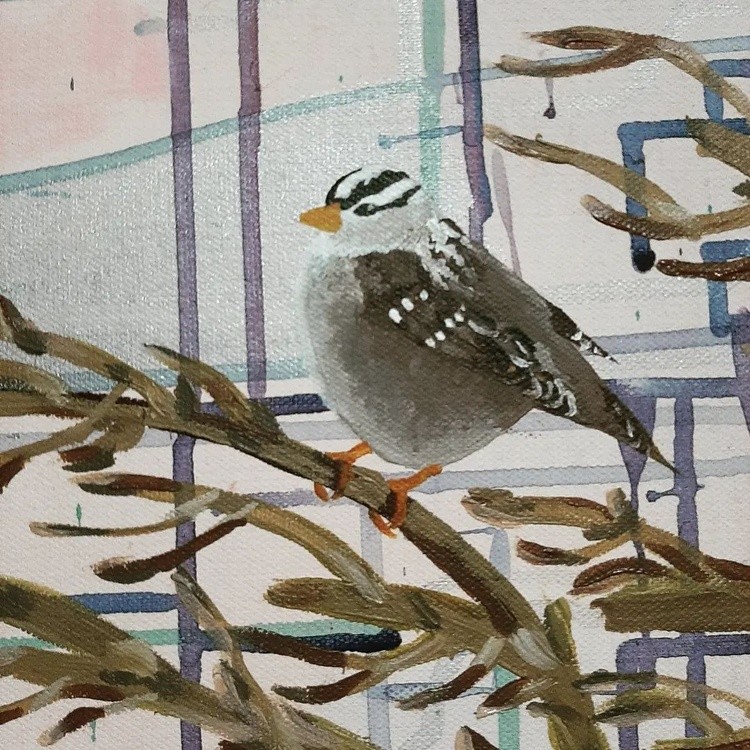 Send bird pics 18035692132348333