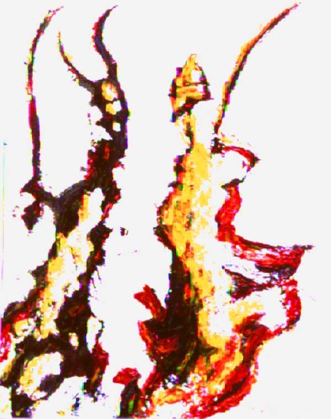 Samurai 2