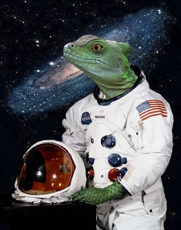 Space Lizard