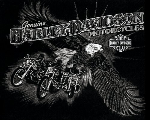 HARLEY-DAVIDSON TEE