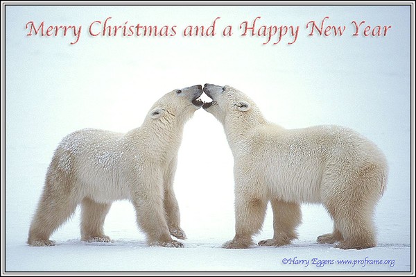 Merry Christmas.....