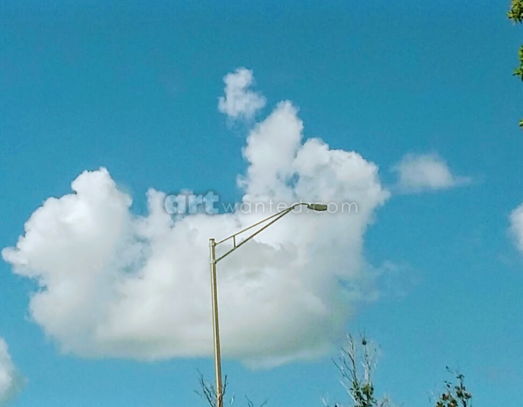 Cute cloud character 