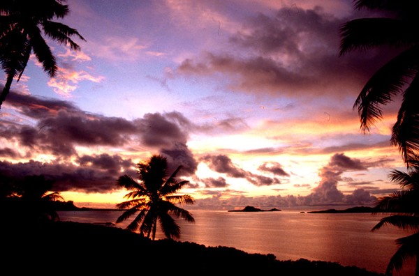 Tropical Sunset