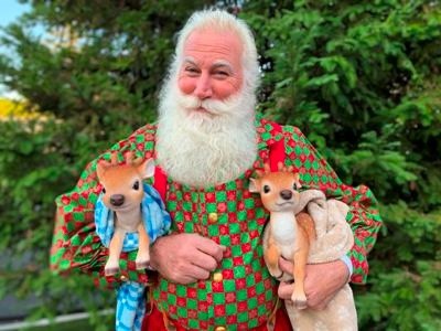 santa cortney image