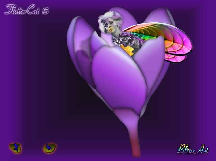 FlutterCat15