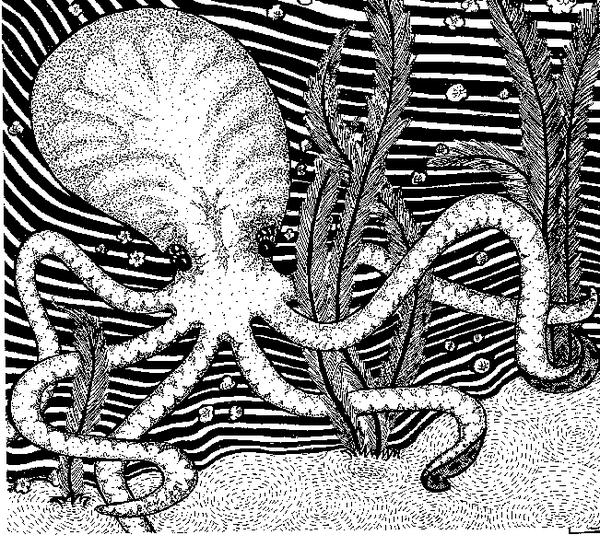 The Octopus Garden