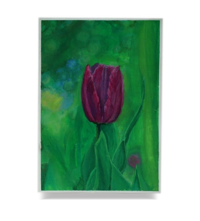 Tulip
