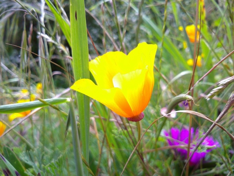 DSCF0029